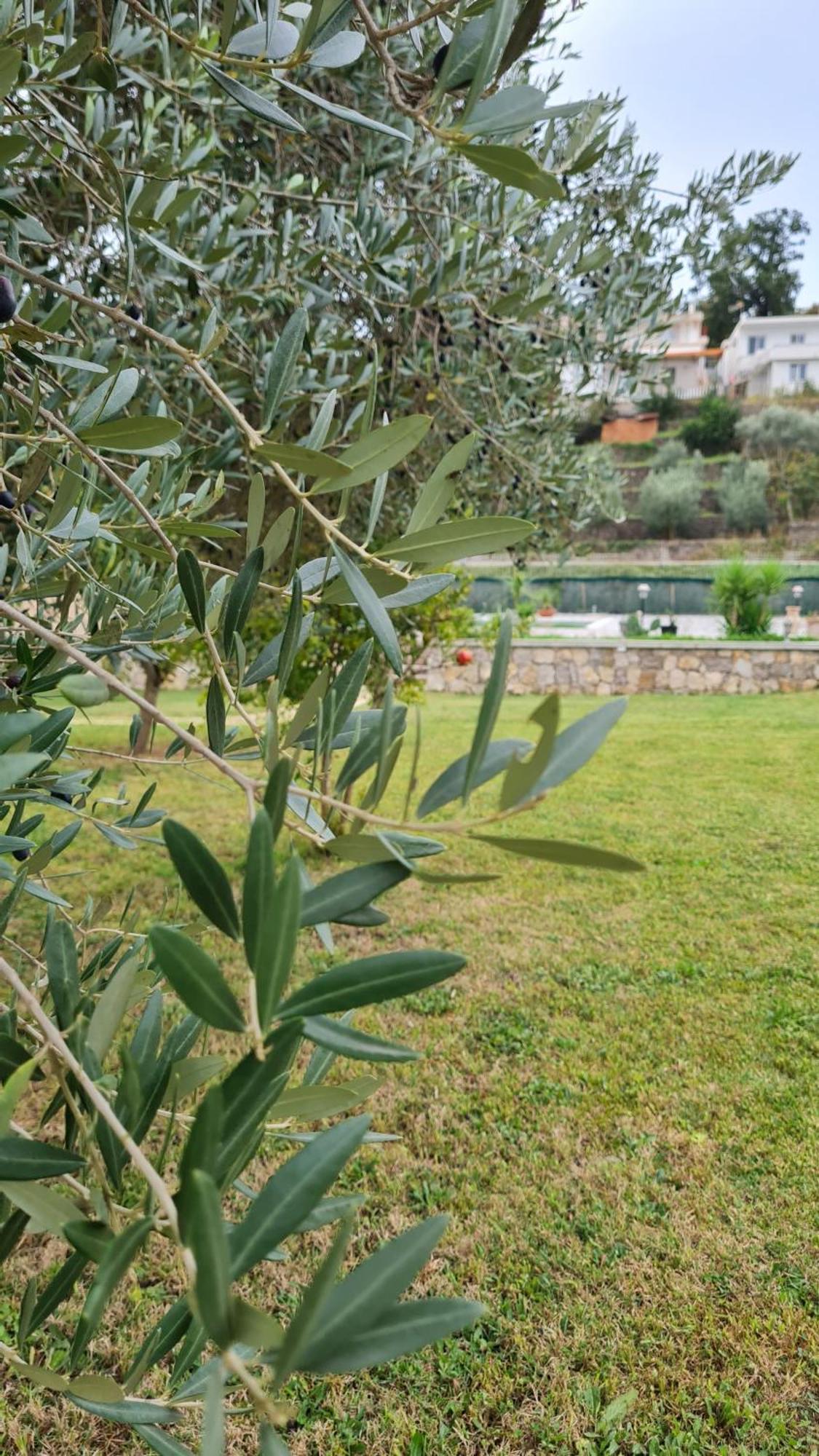 La Hacienda Ξενοδοχείο Ούλτσιν Εξωτερικό φωτογραφία